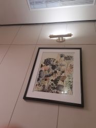 -娇莉芙美颜SPA连锁