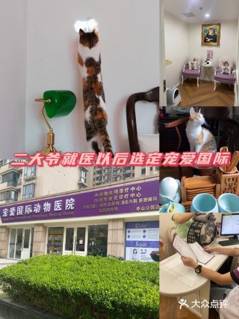 我们二大爷就医｜以后就选定宠爱国际