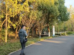 -昆山城市生态森林公园