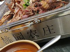 -桃园农庄烤全羊(江秋路店)