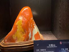 -中华赏石园