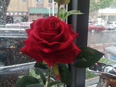 景观位-船家渔(徐州北路店)