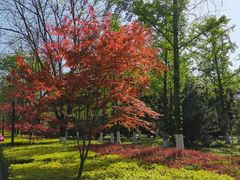 -唐城墙遗址公园
