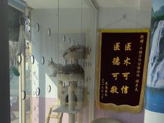 -A猫a狗全科·犬猫异宠·芥西宠物医院(南开总院)