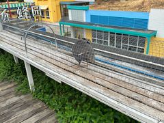 -宁波九龙湖开元度假村