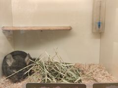 -龙猫仔乐园(惠福东路店)