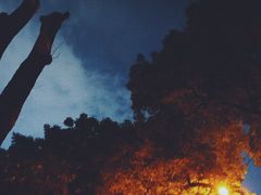 -忠山公园