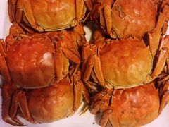 盘锦河蟹-小时候2013(瀚新店)