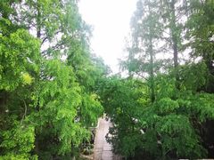 -明故宫遗址公园