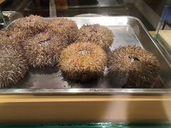 -西村日本料理(香格里拉饭店)