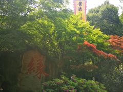 -杭州黄龙洞
