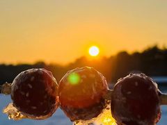 -长春市南湖公园