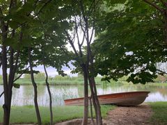 -大兴滨河森林公园