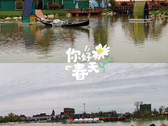 -荷兰花海