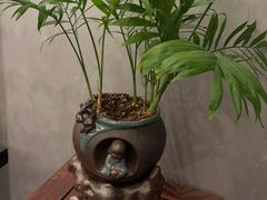 -石泉私宴