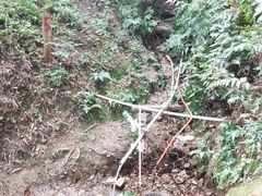 -羚羊峡古栈道森林公园