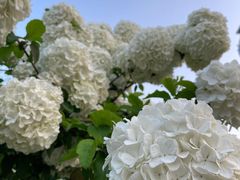 -大龙山(地铁站)