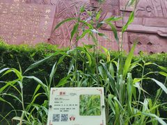 -广州神农草堂中医药博物馆