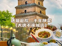 -唐猫庭院·千年陕菜(大唐不夜城店)