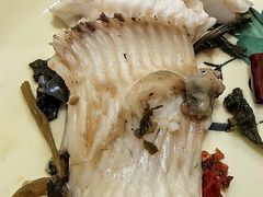 -风鑫铃罗非鱼(道沟店)