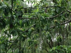 iphone_upload_pic-白塘生态植物园