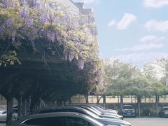 -双拥公园