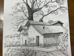 -青沐画室·专业美术培训