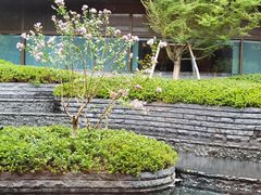 -湘湖逍遥庄园·水漾中餐厅