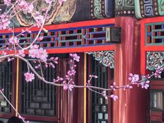 -颐和园