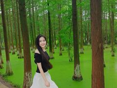 -艾溪湖湿地公园