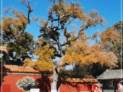 -沈阳市东陵公园