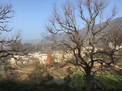 -塔川景区