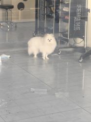 -北京柏丽美容美发