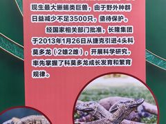 -广州长隆野生动物世界