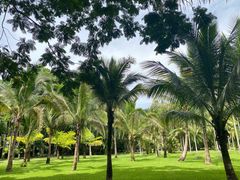 -中国科学院西双版纳热带植物园