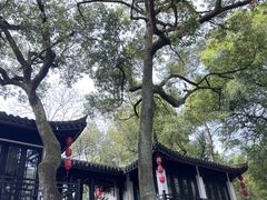 -杭州黄龙洞