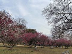 -采石矶景区