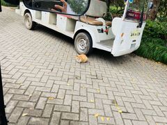 -上海海湾国家森林公园