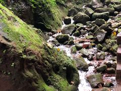 景点-赤水丹霞旅游区·佛光岩