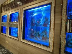 -恒宝和宴(合生广场店)