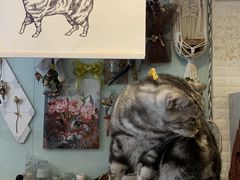 -平行世界·猫咖(首经贸店)