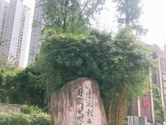 -重庆彩云湖湿地公园