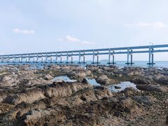 -黑石礁公园