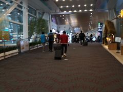 -厦门高崎国际机场-T3航站楼
