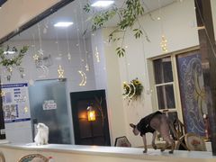 -猫小院猫主题餐厅(南锣旗舰店)