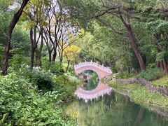 -北坞公园