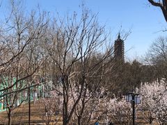 -西海子公园