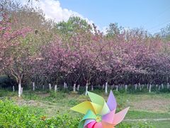 -太子山公园(园东路)