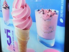 -麦当劳(北方国贸大厦店)