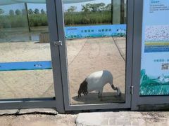 -盐城丹顶鹤湿地生态旅游区